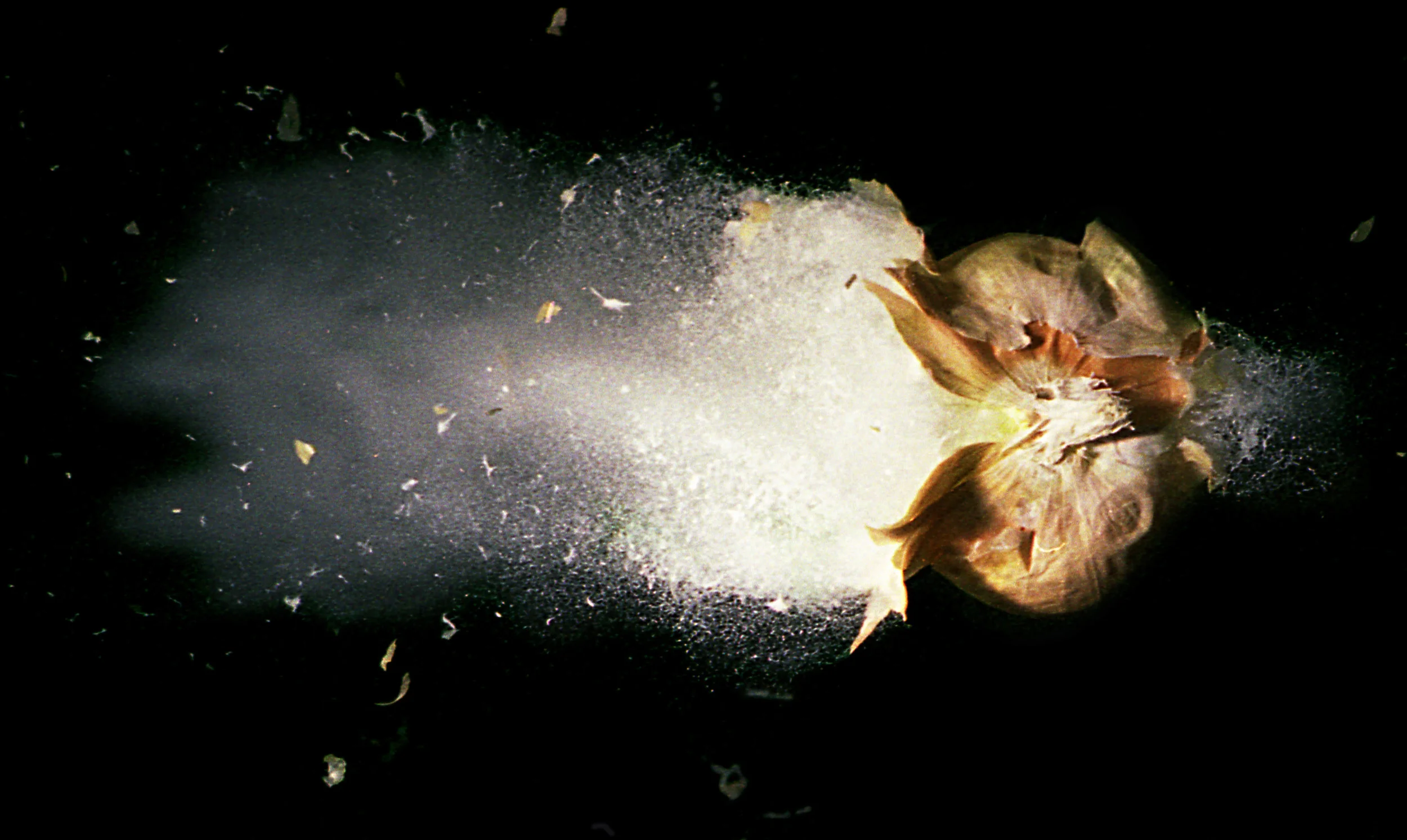 Highspeed photography class -- the Ballistic photography project.