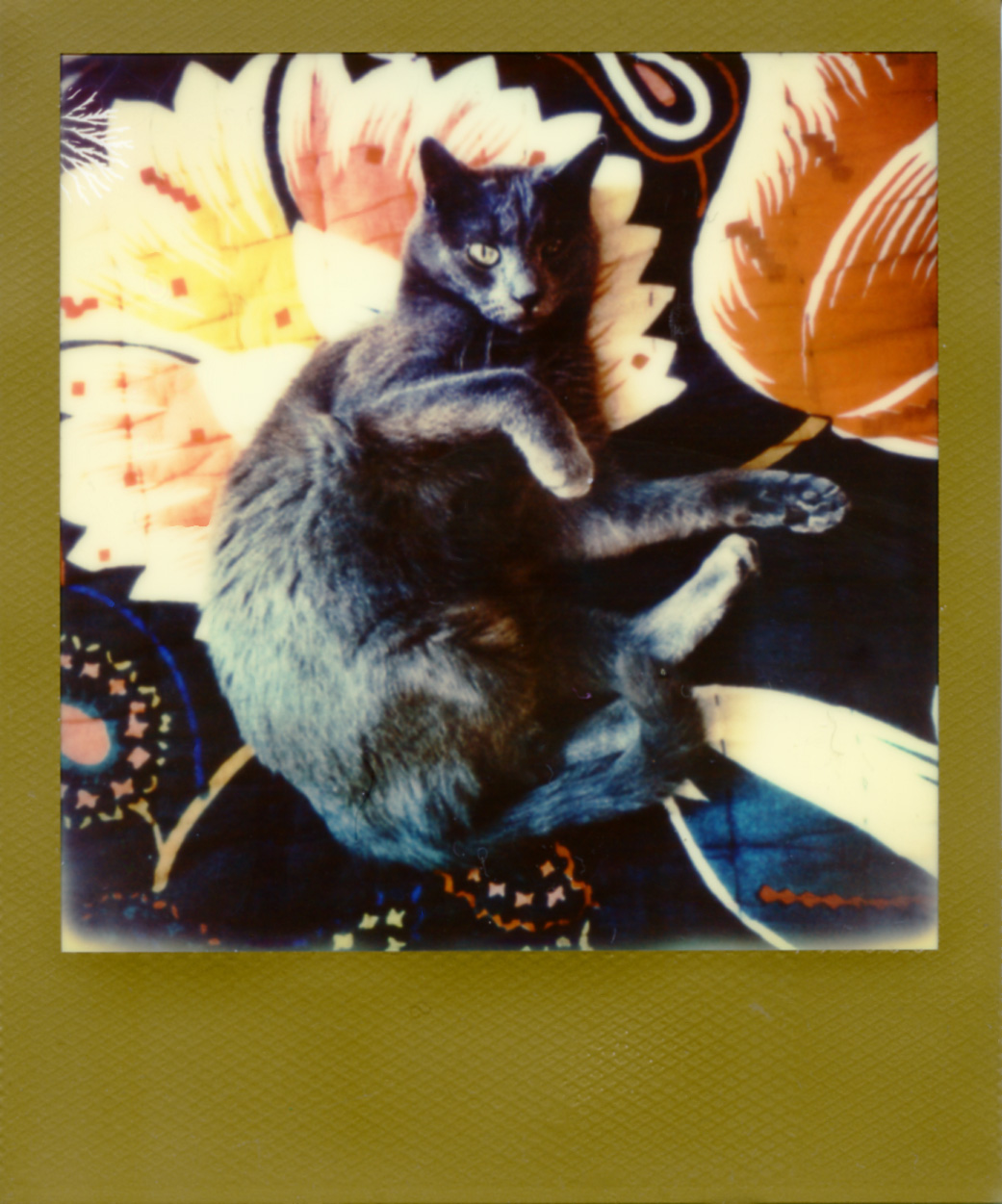 Polaroid174_web.jpg