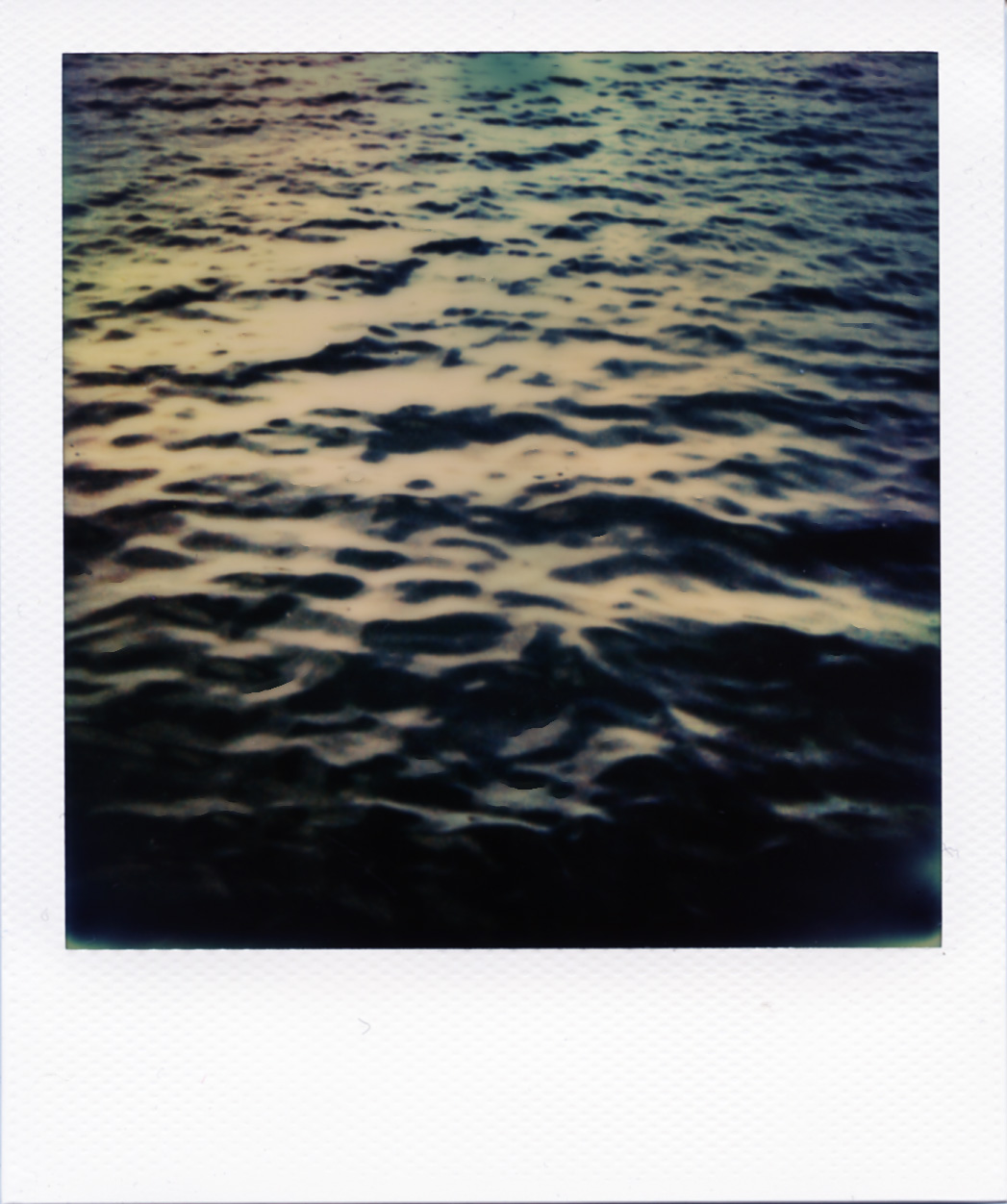 Polaroid188_web.jpg