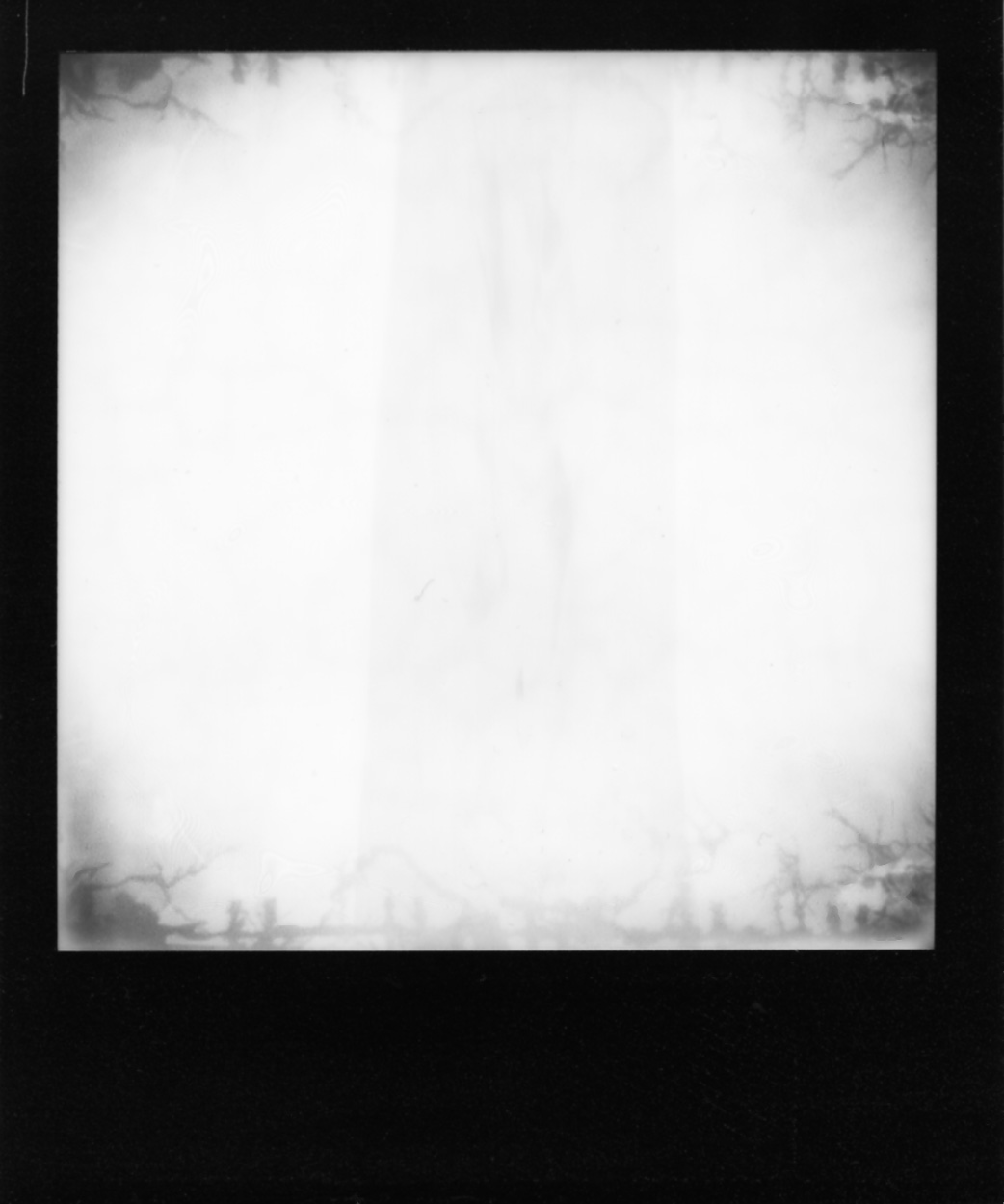 Polaroid194_web.jpg