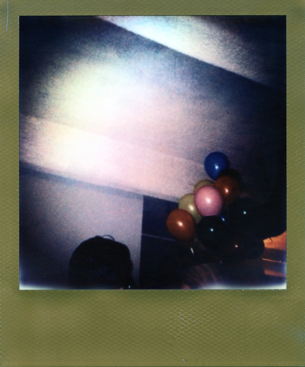 Polaroid198_web.jpg