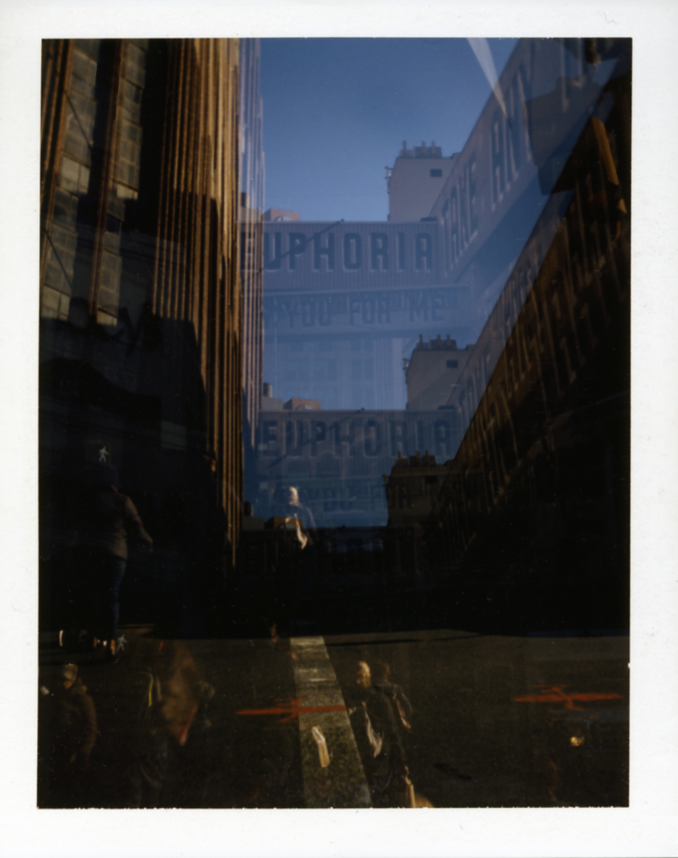 Polaroid215_flat.jpg