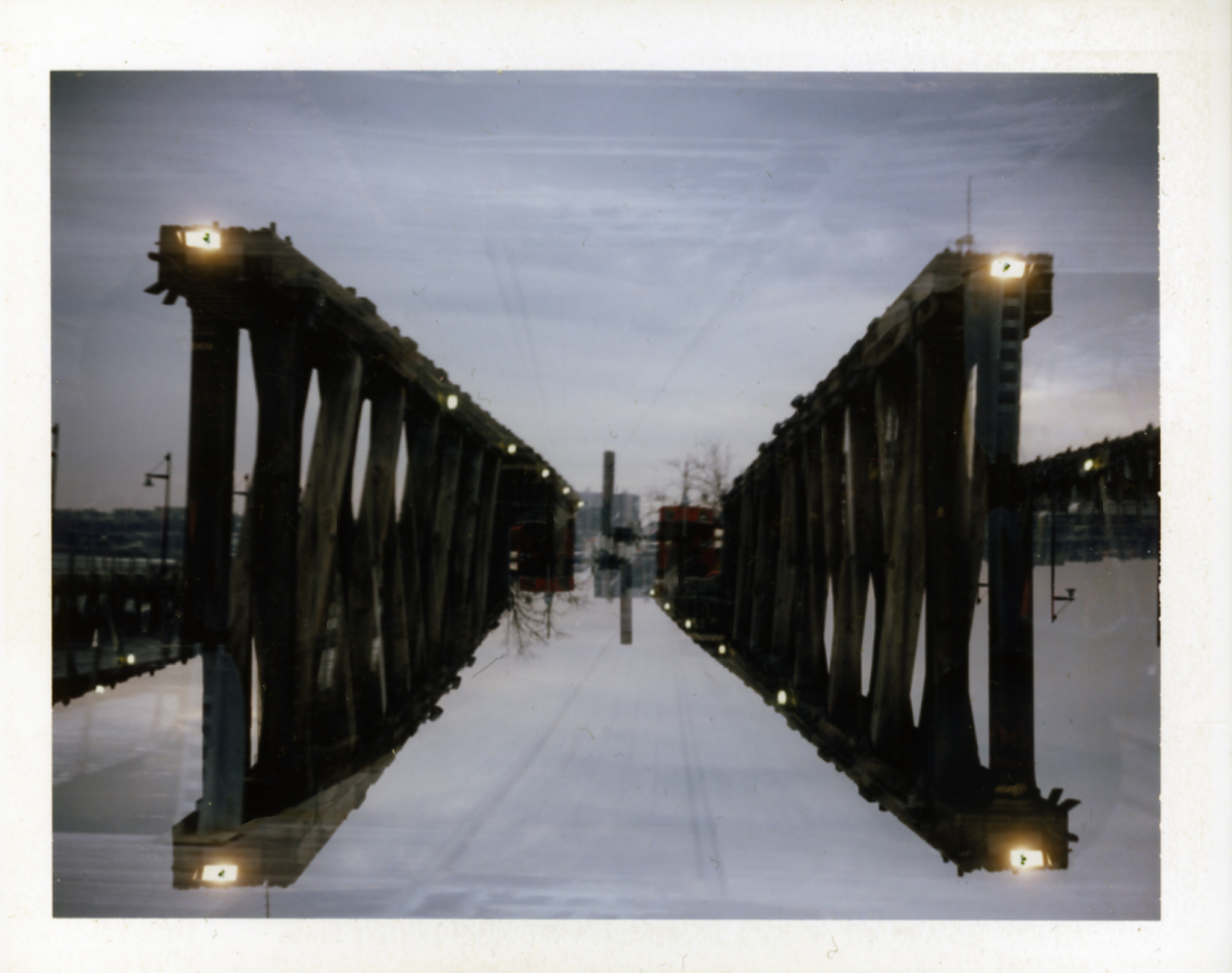 Polaroid233_flat.jpg