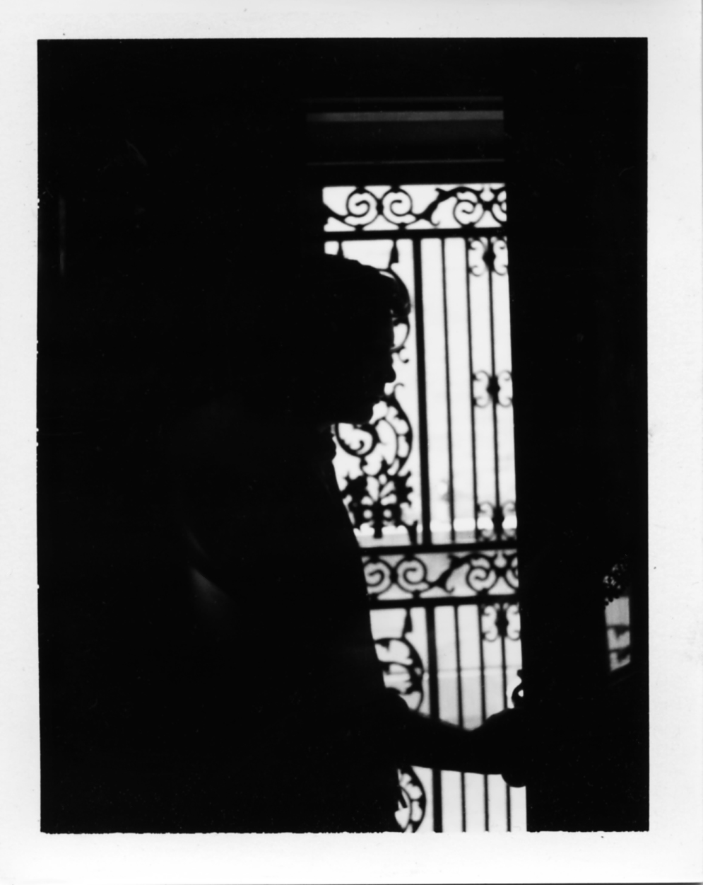 Polaroid244_flat.jpg