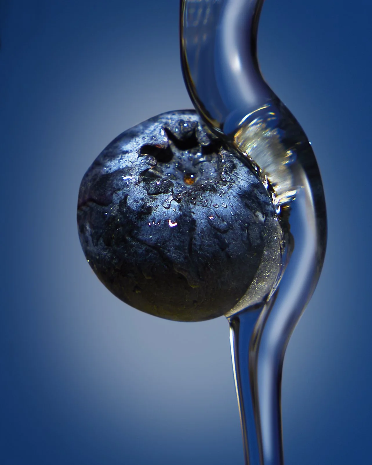 blueberry_clear.jpg