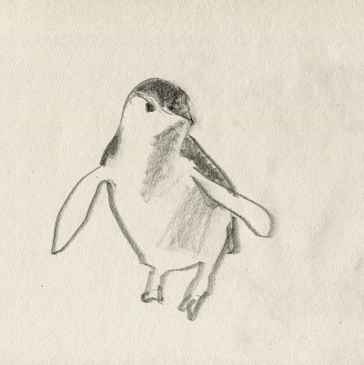 Little Penguin