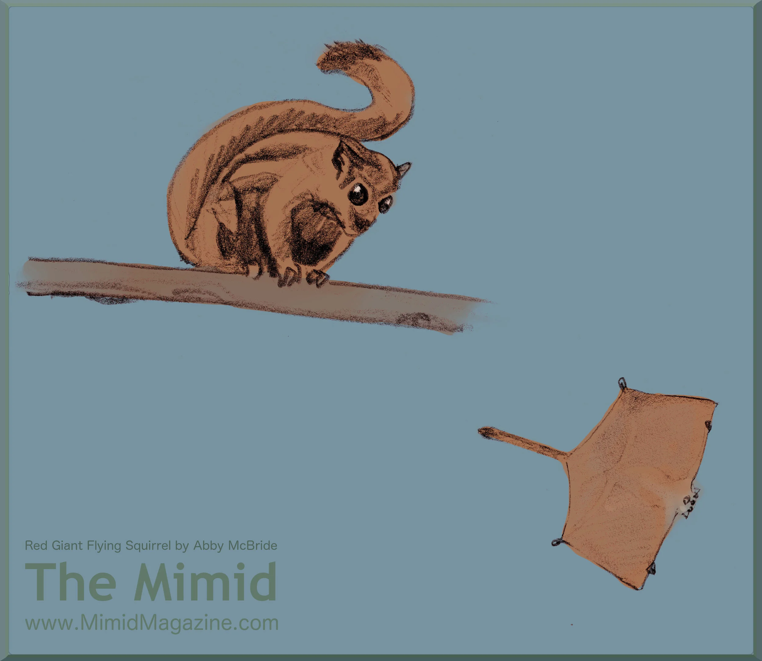 Red Giant Flying Squirrels