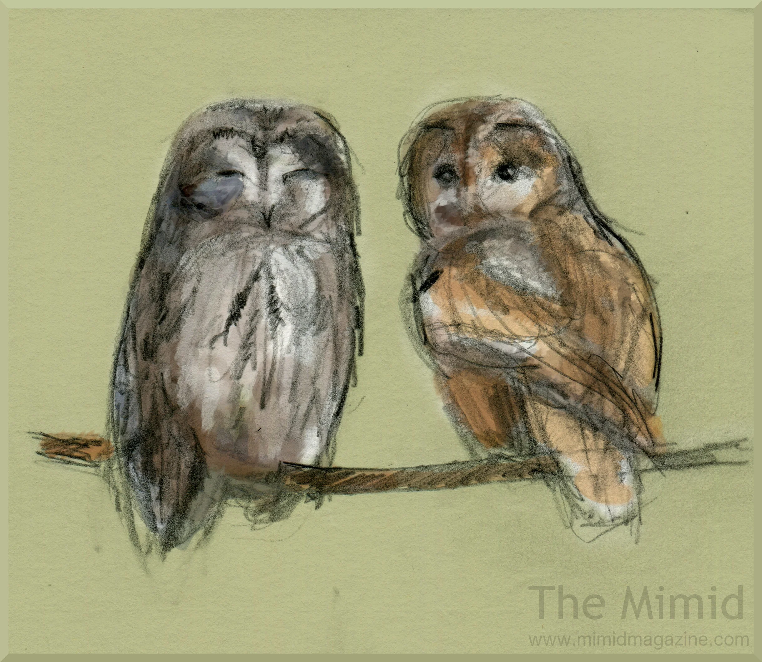 The hardy gray Morph (L) and the less-insulated brown morph (R)