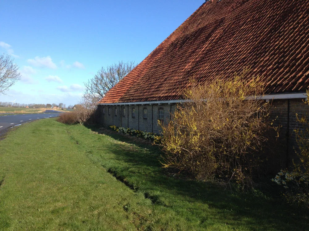 Long Live the King of the Meadow