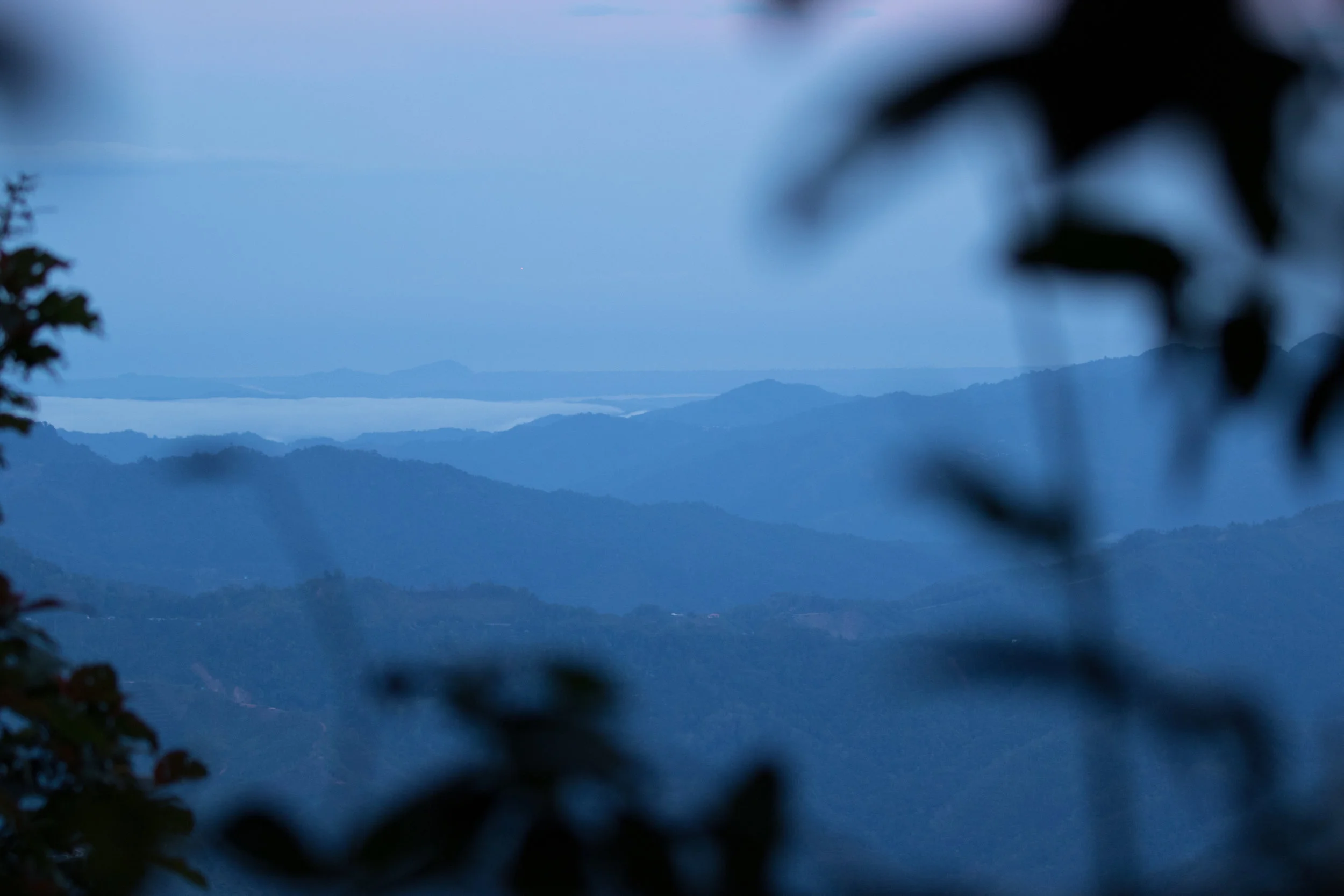 Good morning, Borneo