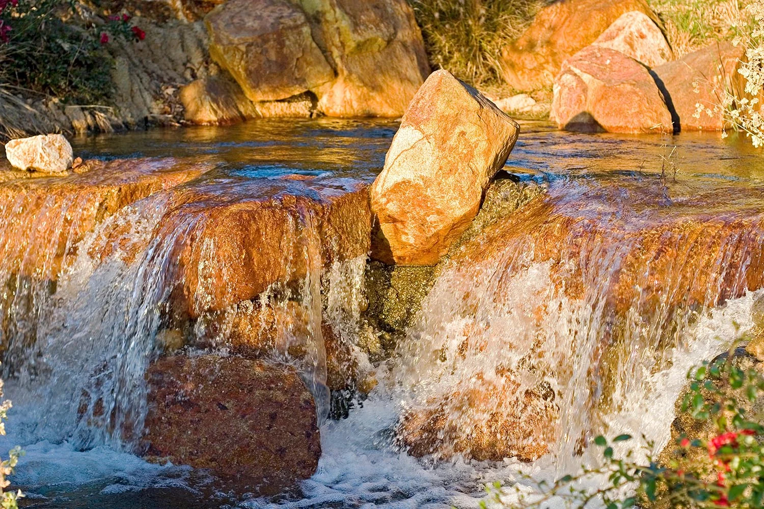 CoyoteCanyonRoad052.jpg
