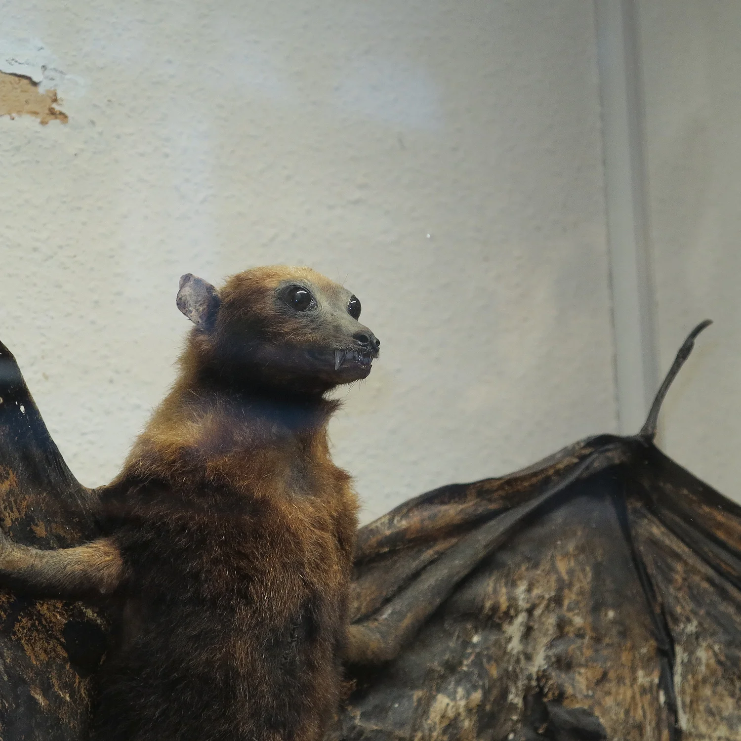 Cultural trip to the capital