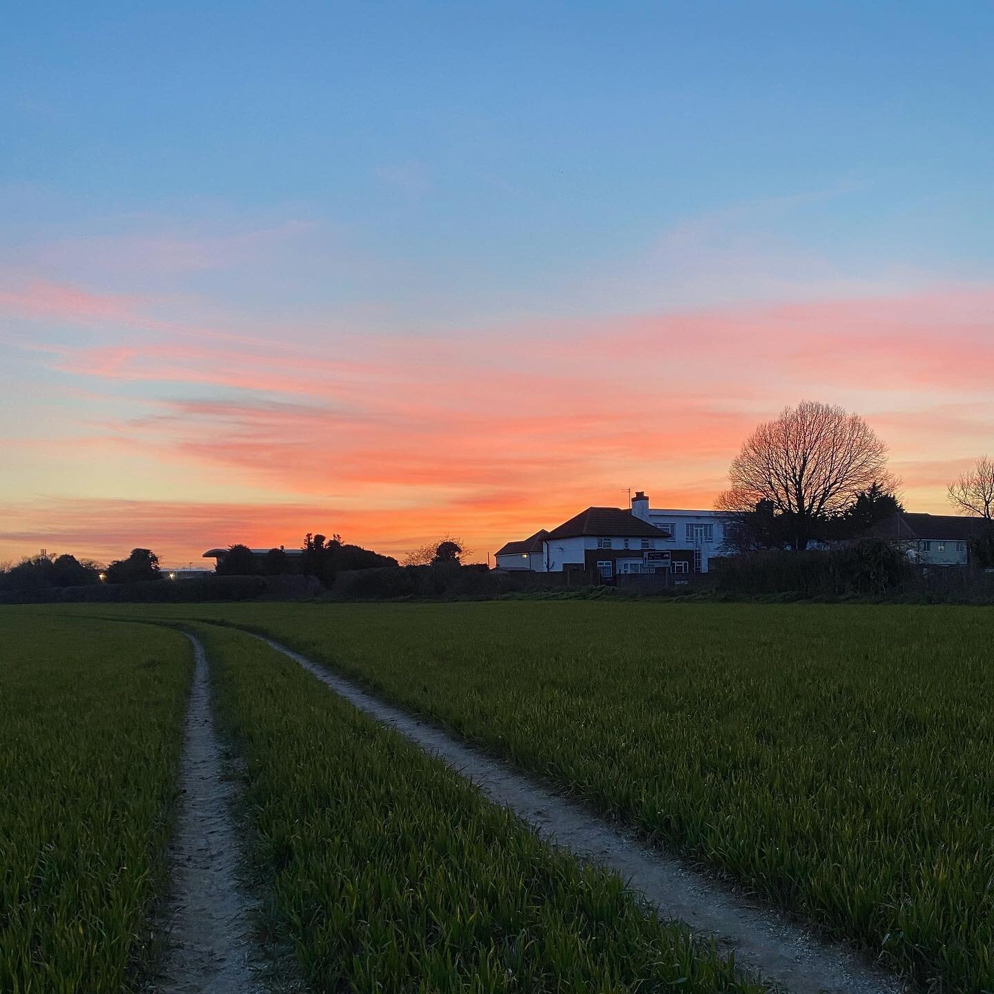 What better way to finish of a day of creative copywriting then a yomp across the fields at sunset.