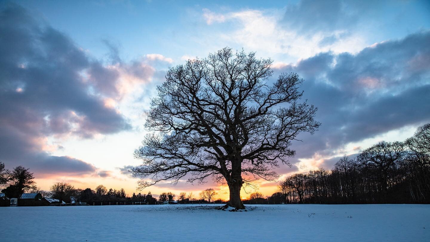 My favourite image from the recent snowfall in Kent. It was shot at sunset on the last day before the rains came and washed everything away.