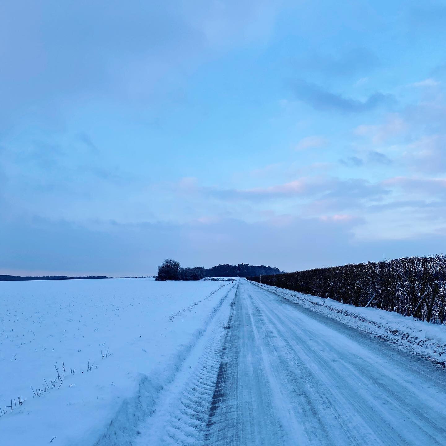 The early bird...gets a frozen worm.