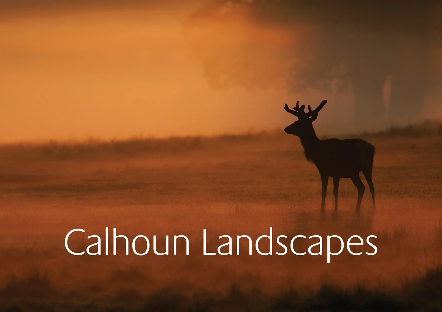 Calhoun Landscapes - Brand Launch
