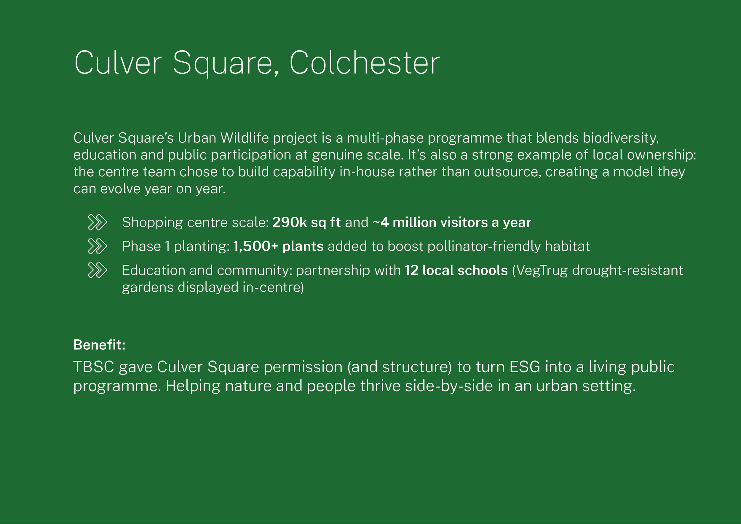 TK TBSC 33 Example Culver Sq.png