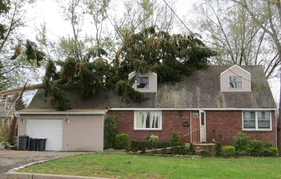 tree-house.jpg