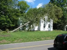Let Temporary Repair help with roof tarp calls so you as roofers can spend your time roofing.