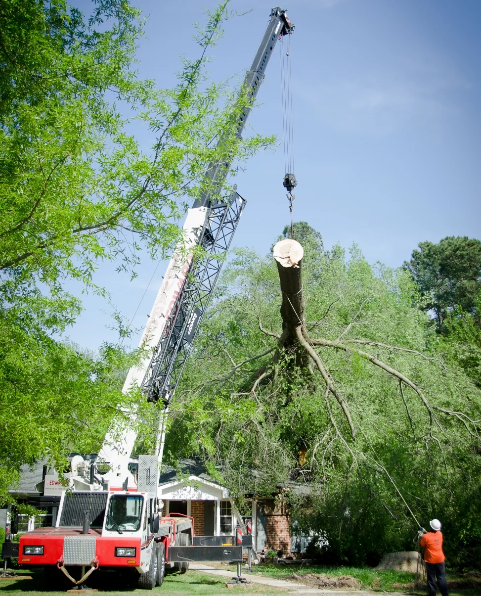 Lake County Tree Removal Storm Damage Repair Temporary Repair