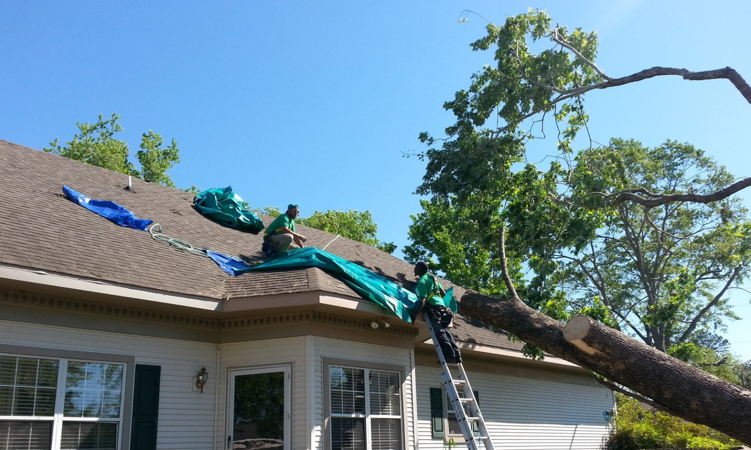 Tree removal and tarp installation