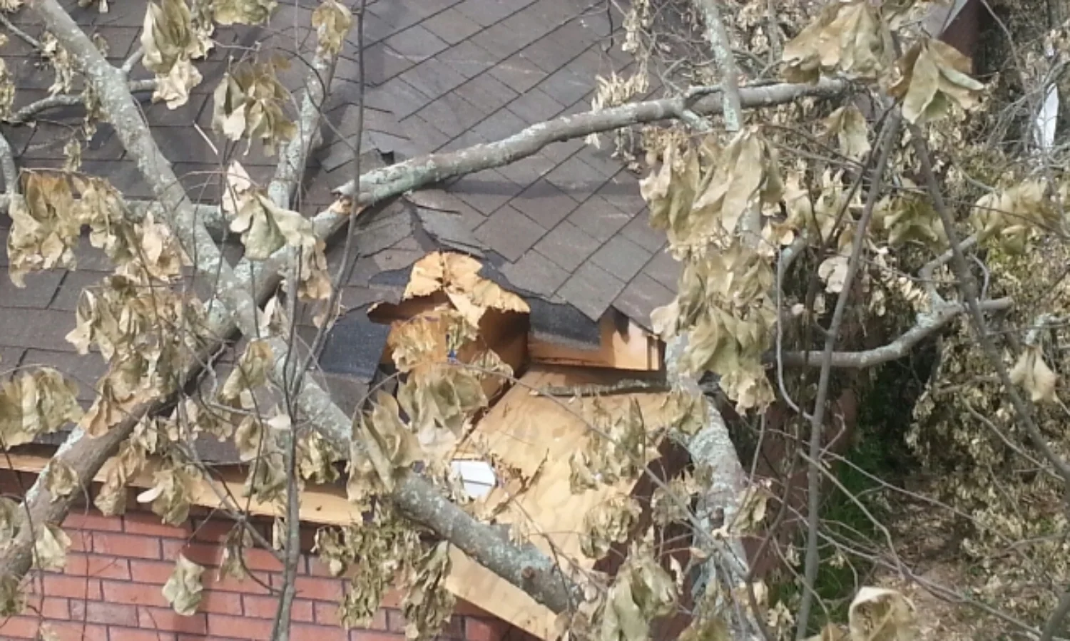 Tree debris removal and framing to close in roof to secure for waterproofing.