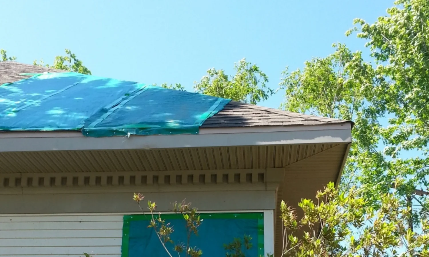 Non destructive nailing of tarp