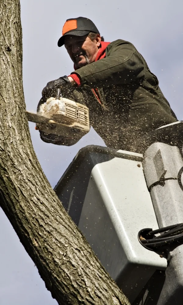 Boom trucks, crane, lifts, chainsaws, skilled labor