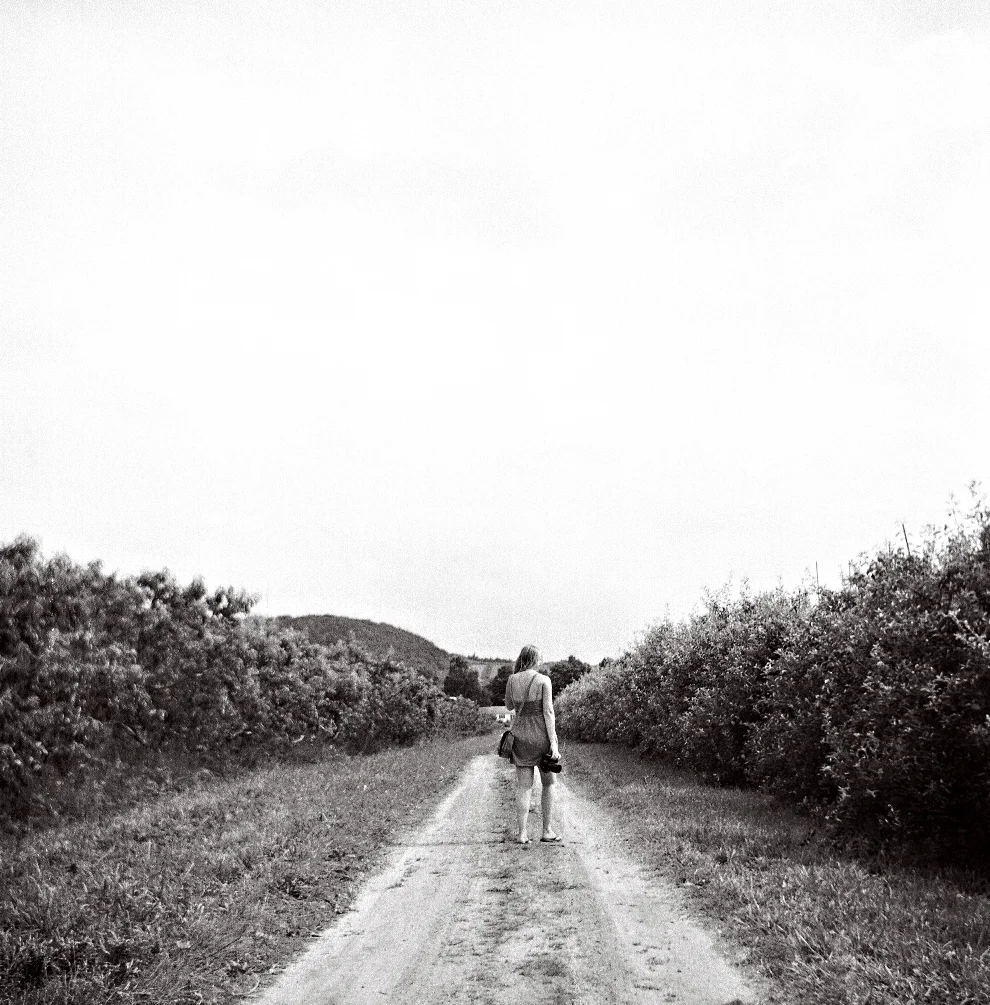 05.jpg