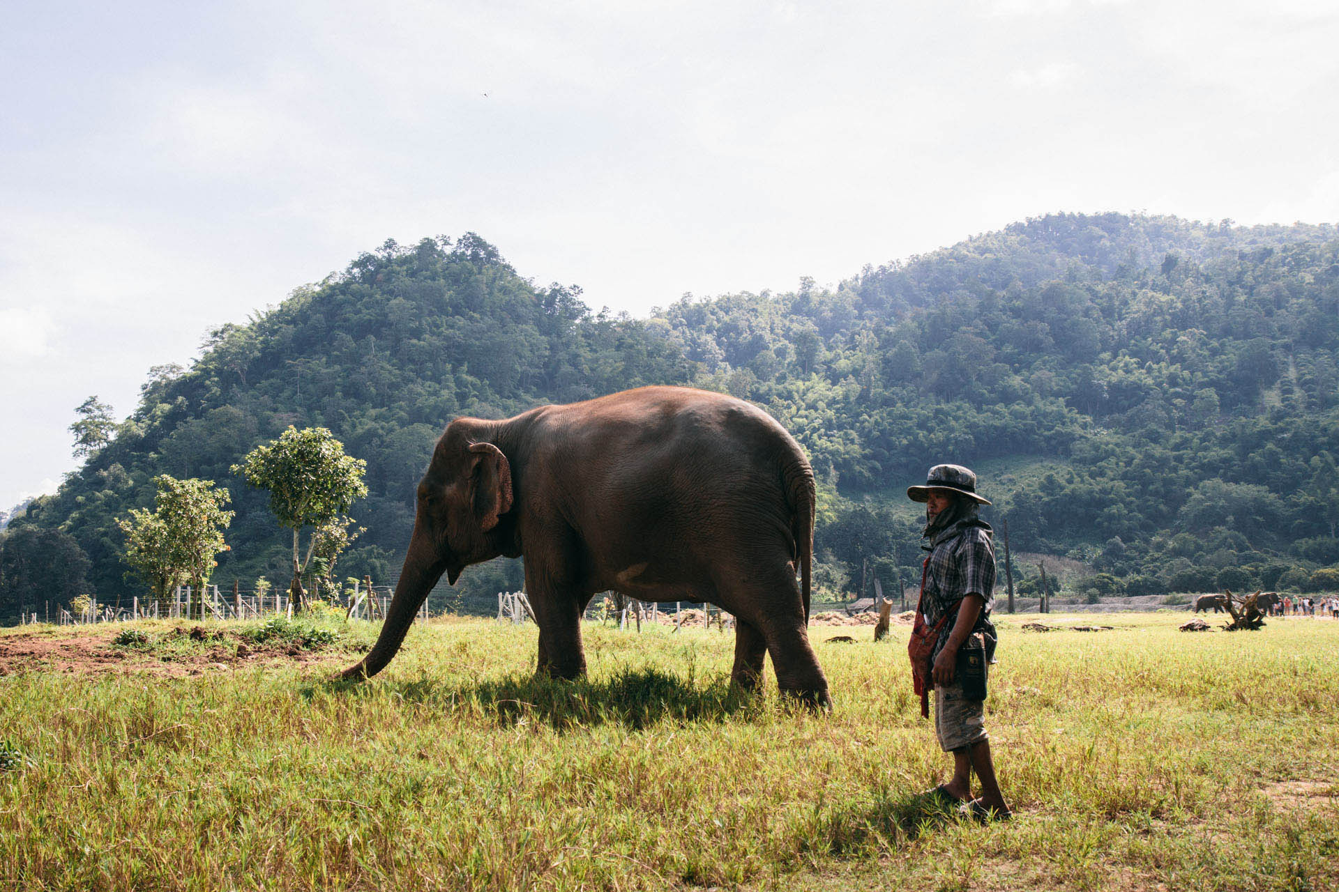Ren Photography_Elephants_005.jpg