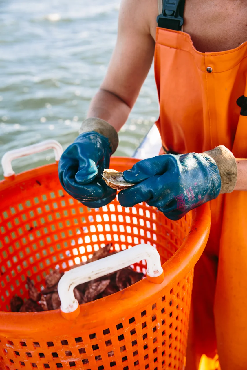 20130904_Progressive_Oysters_158.jpg
