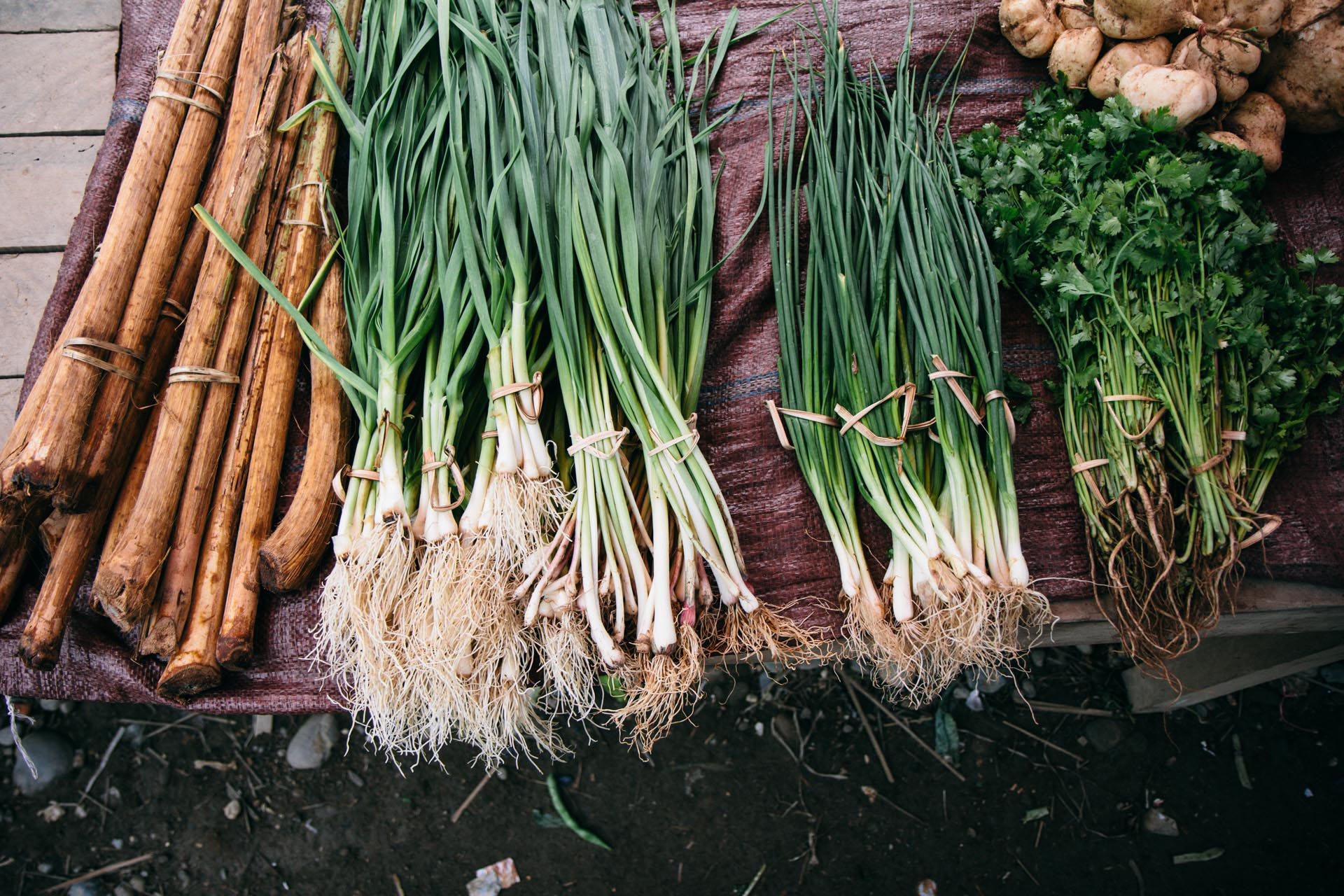 RenPhotography_Laos_22.jpg