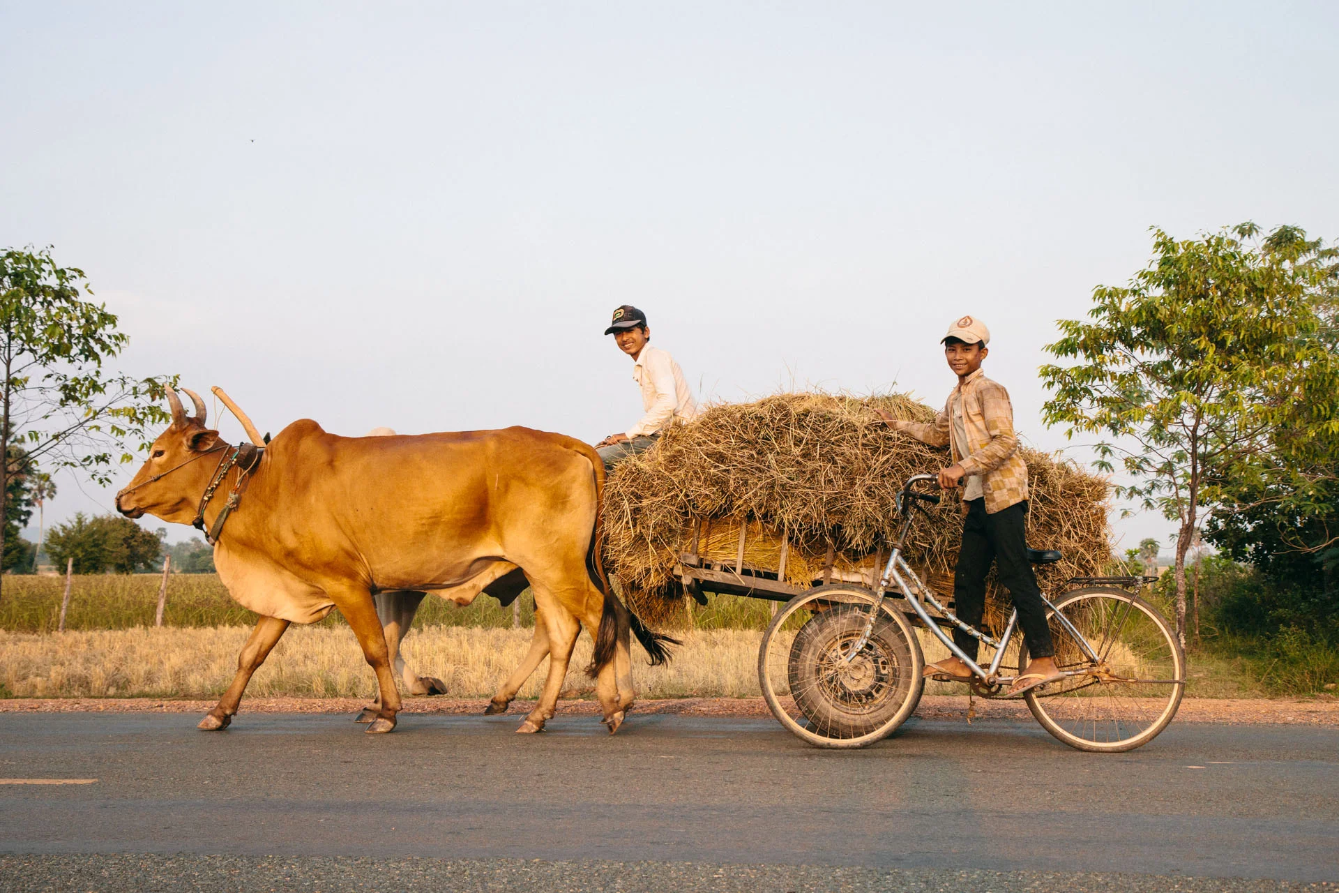 2013_12_Cambodia_0651.jpg