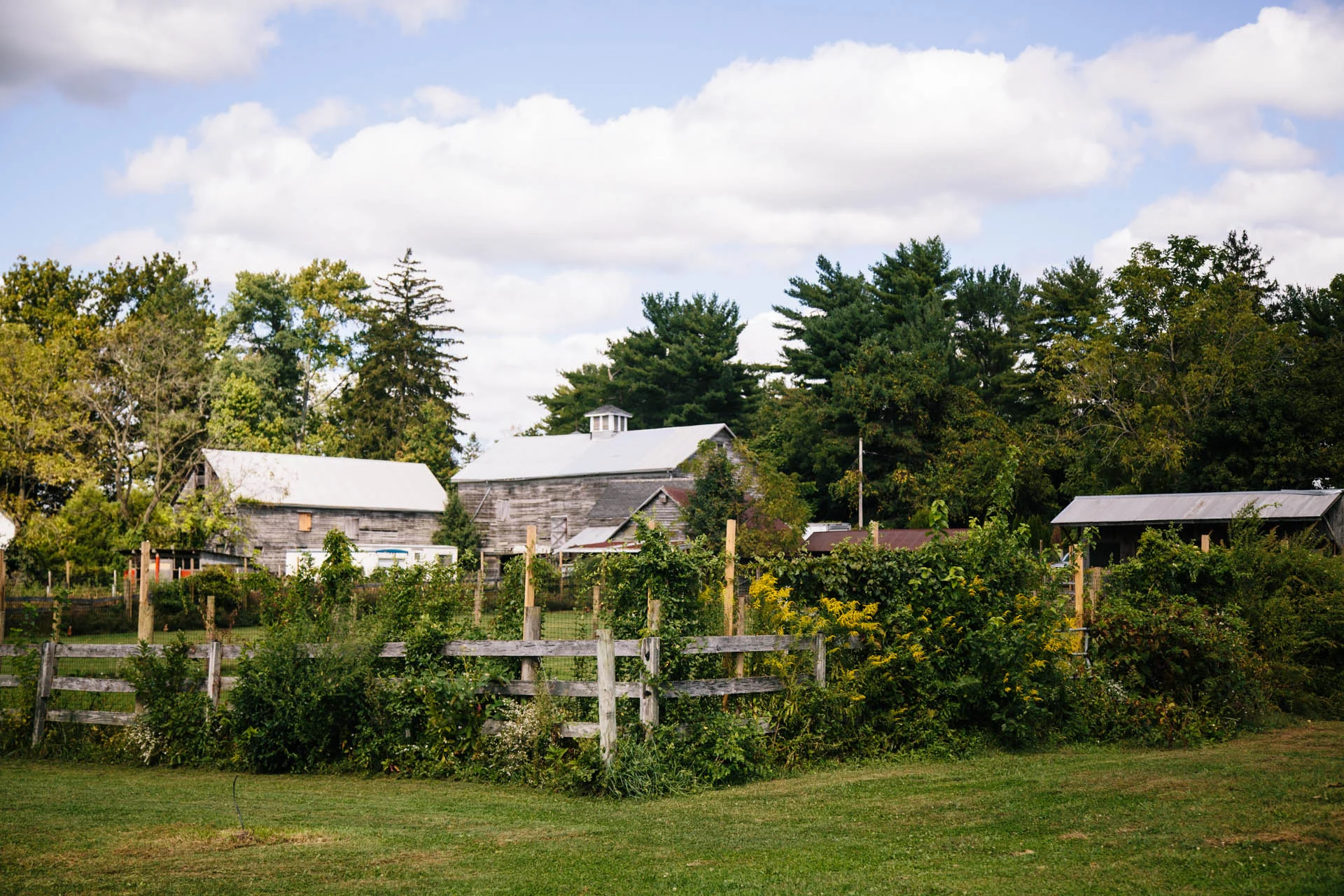140922_USEbodhitree_111.jpg