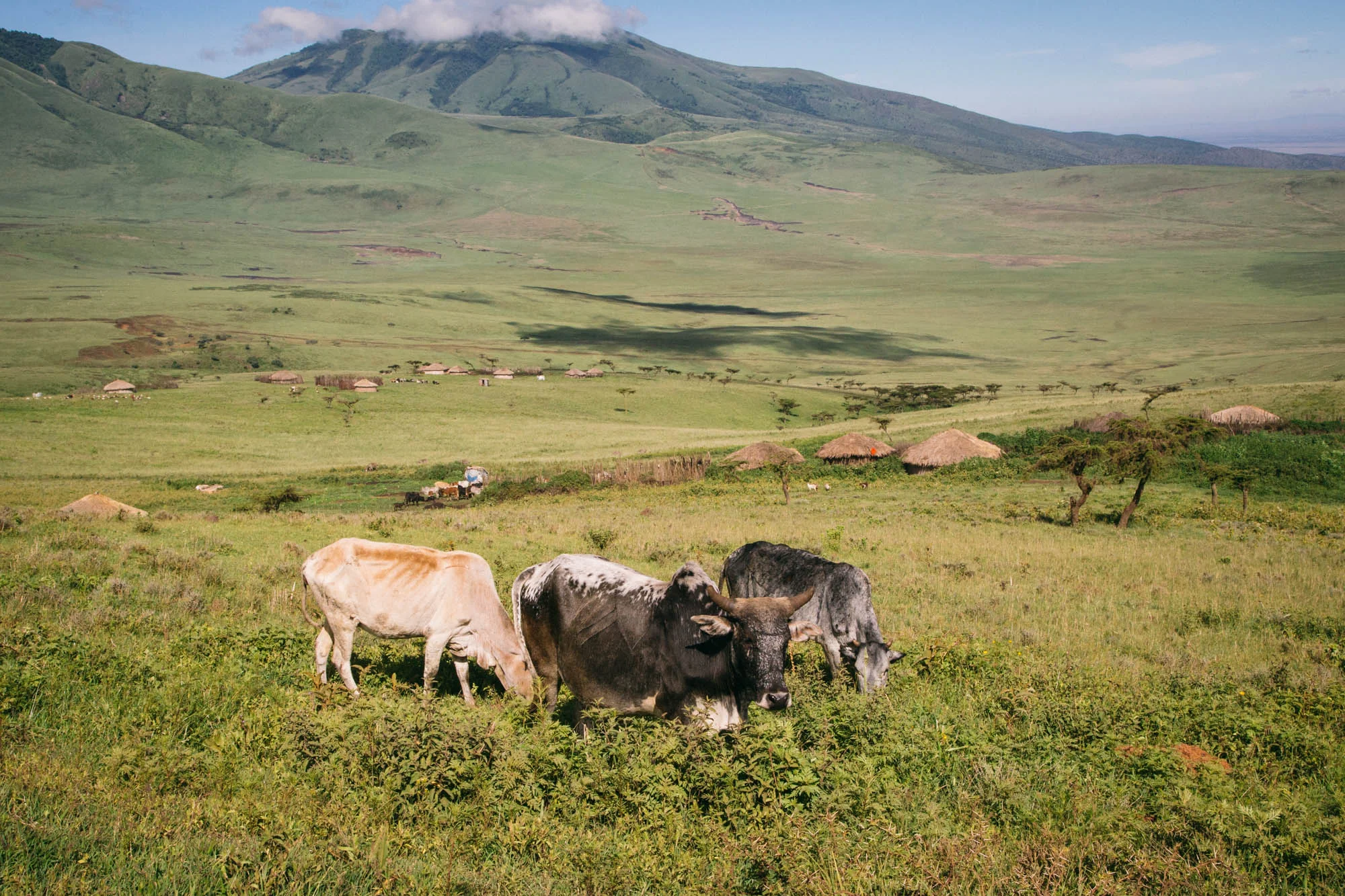 160301_Tanzania_331.jpg