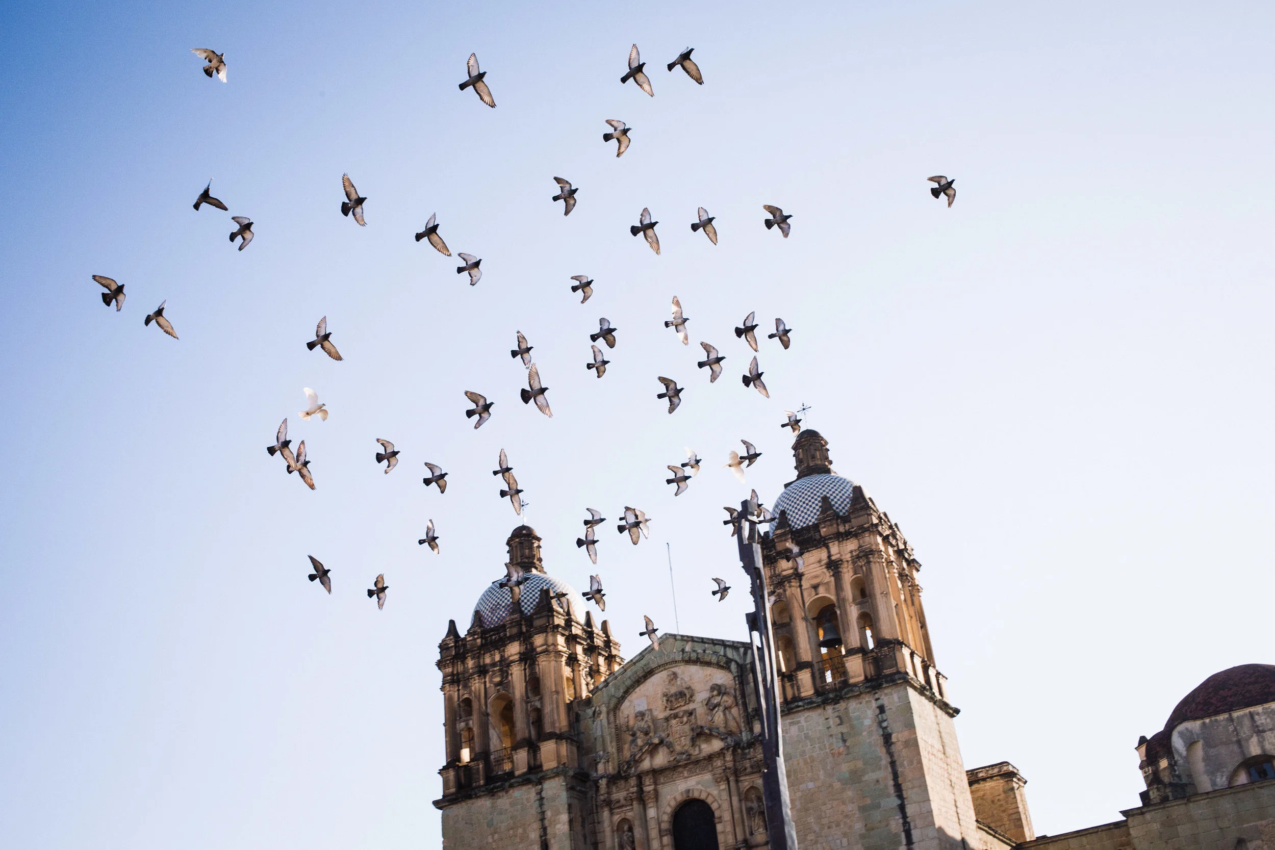 170113_Oaxaca_Street_02.jpg