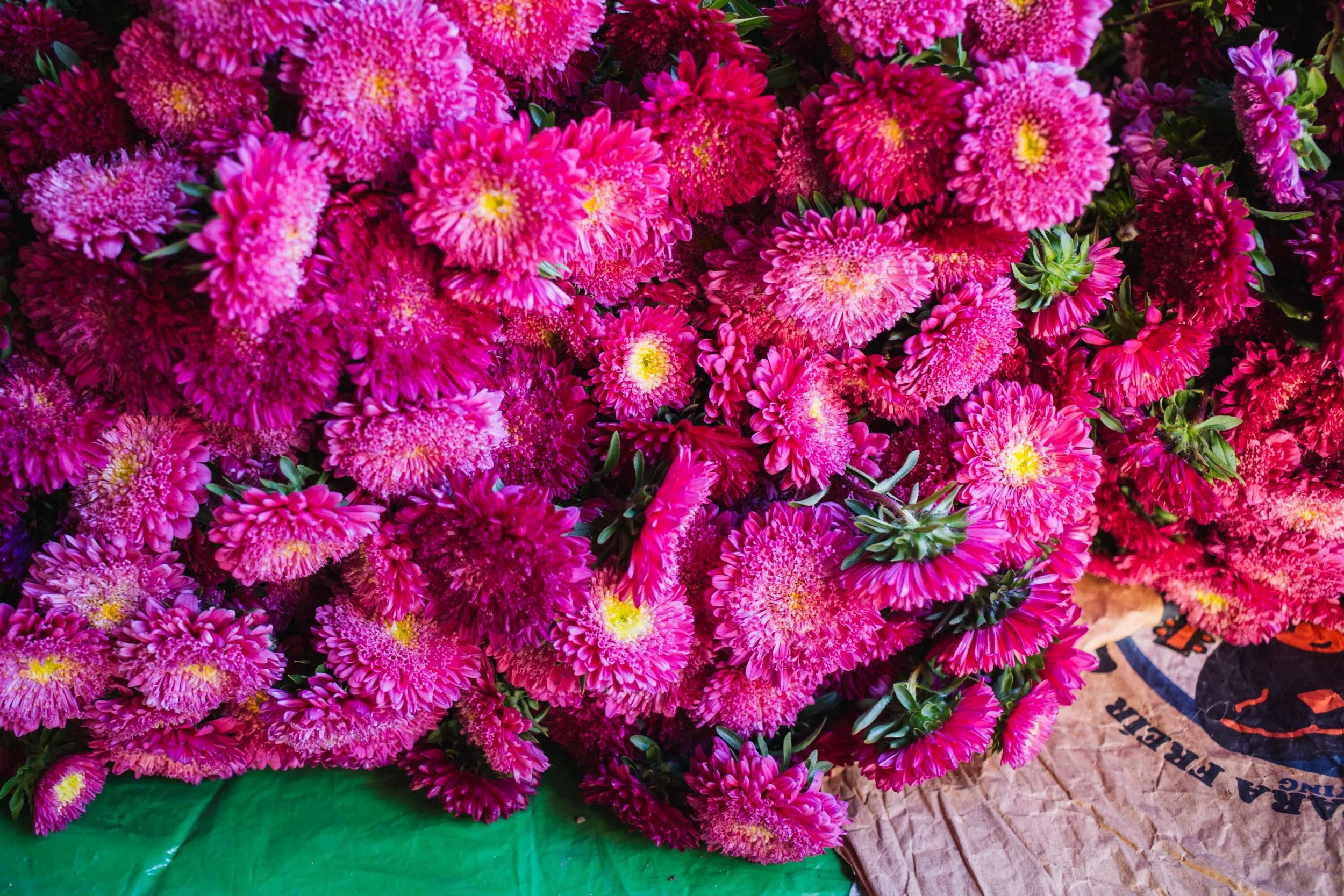 170117_Oaxaca_0733.jpg