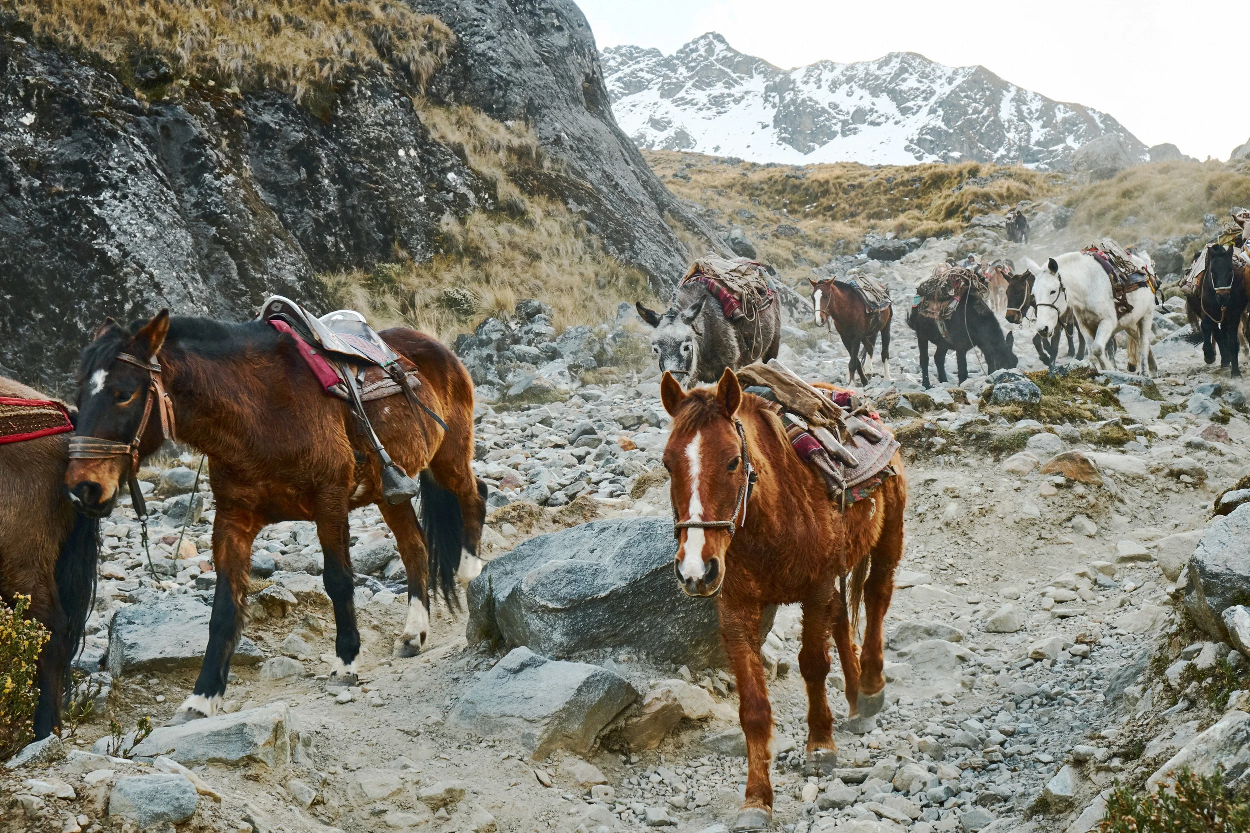 180708_PERU_0218.jpg