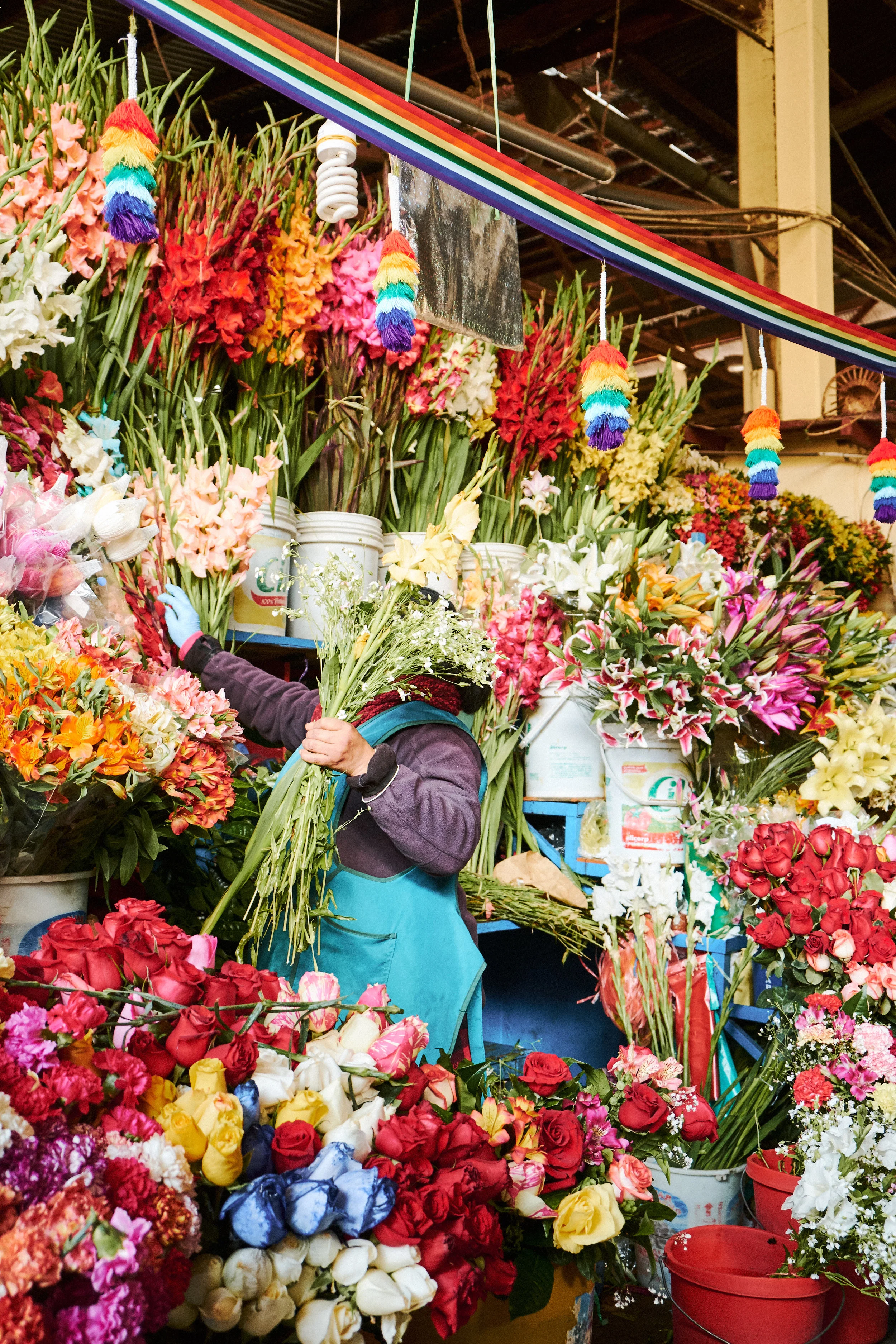 180717_PERU_1193.jpg