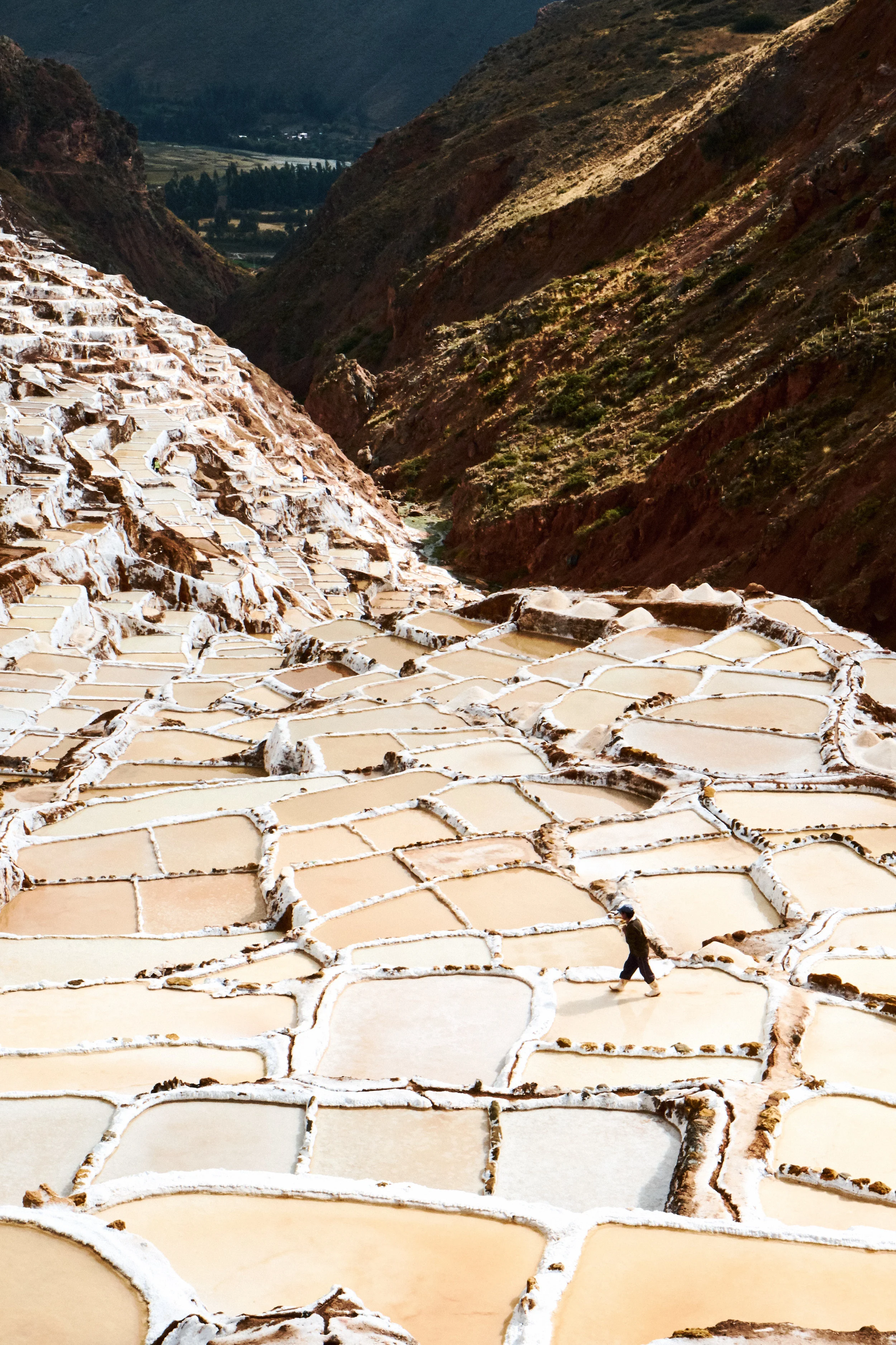 180719_PERU_1367.jpg