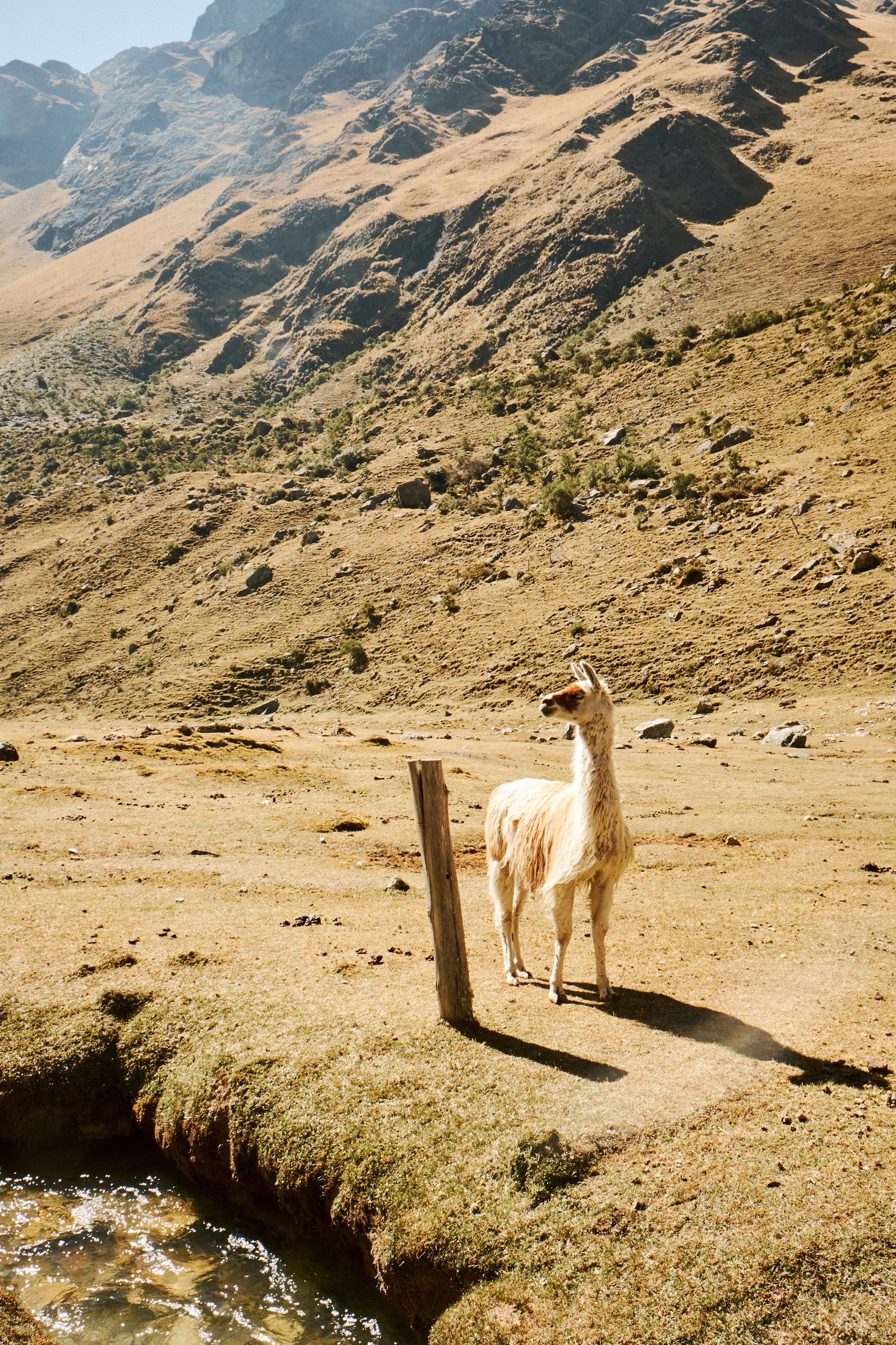 180708_PERU_0124.jpg