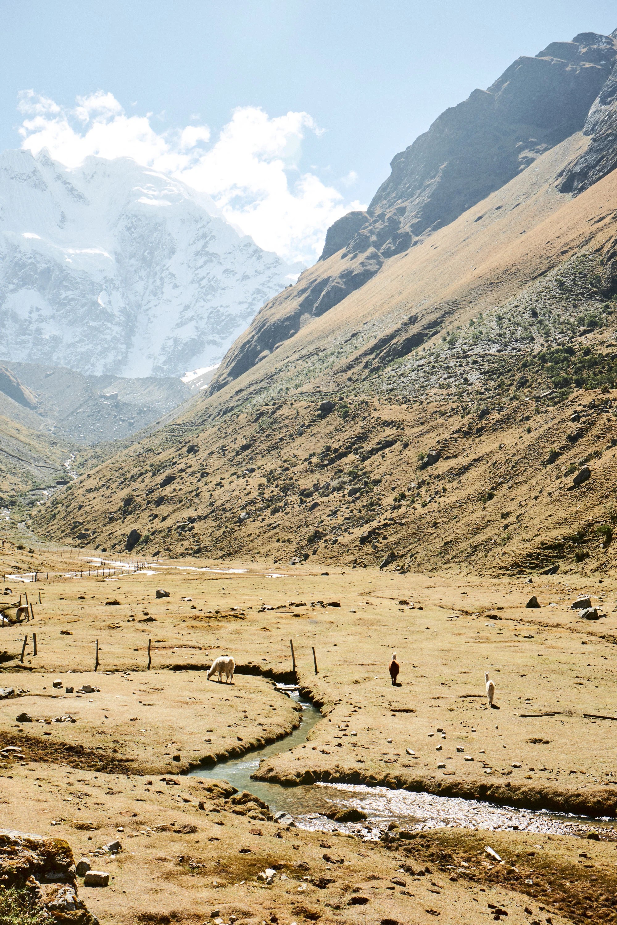 180708_PERU_0118.jpg