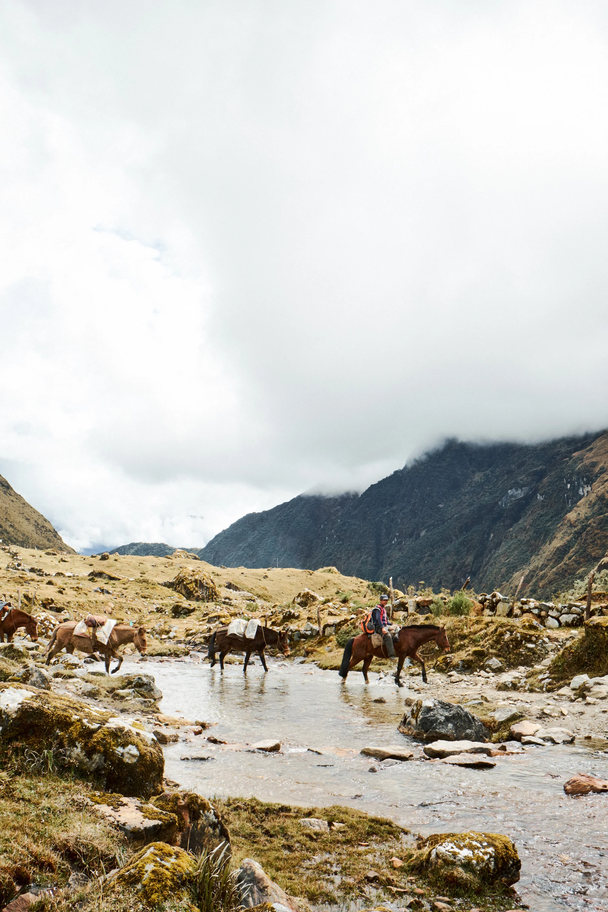 180723_PERU_1656.jpg