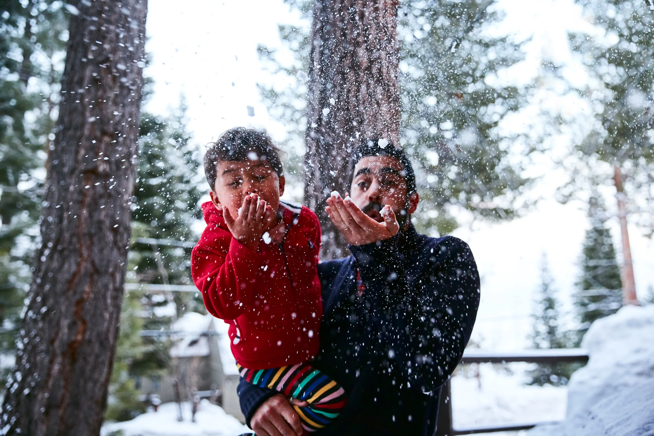 1900323_TAHOE_1366.jpg