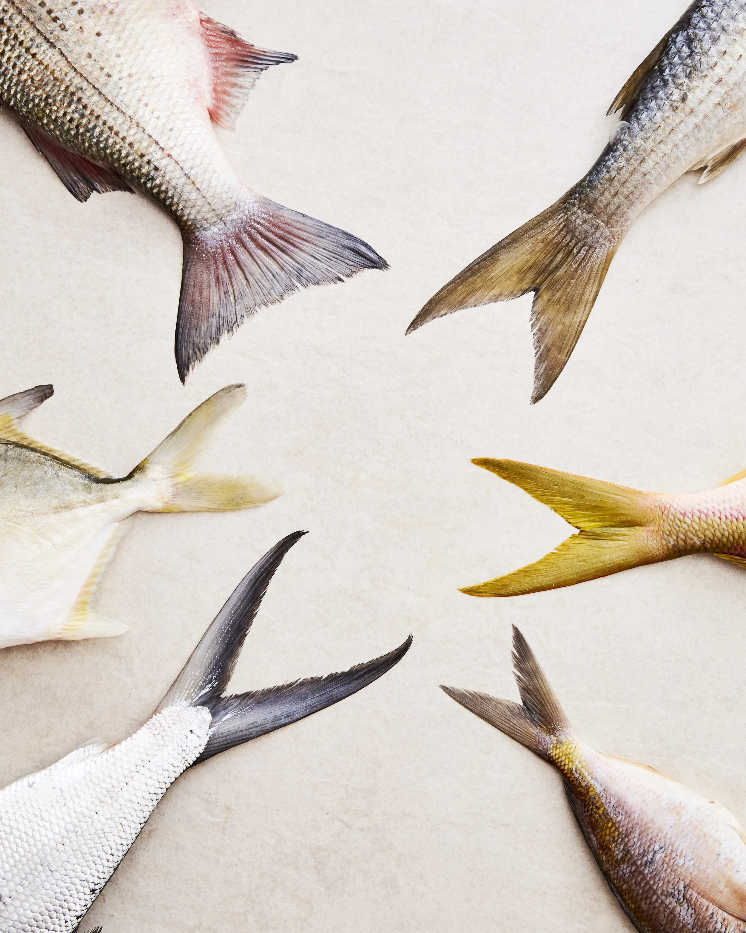 PESCAN_SEAFOOD_INTRO_04189.jpg