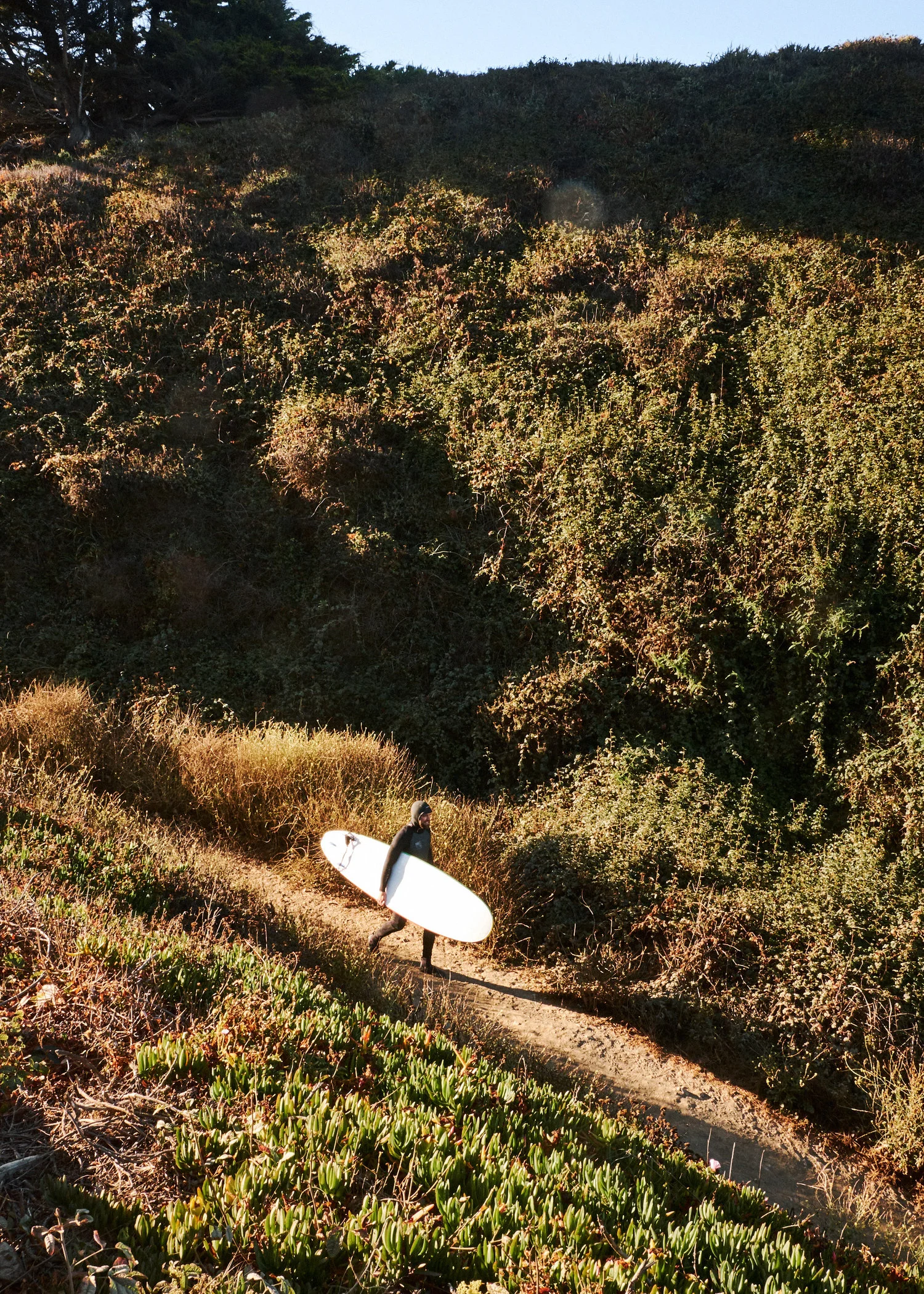 180914_BIGSUR_090.jpg