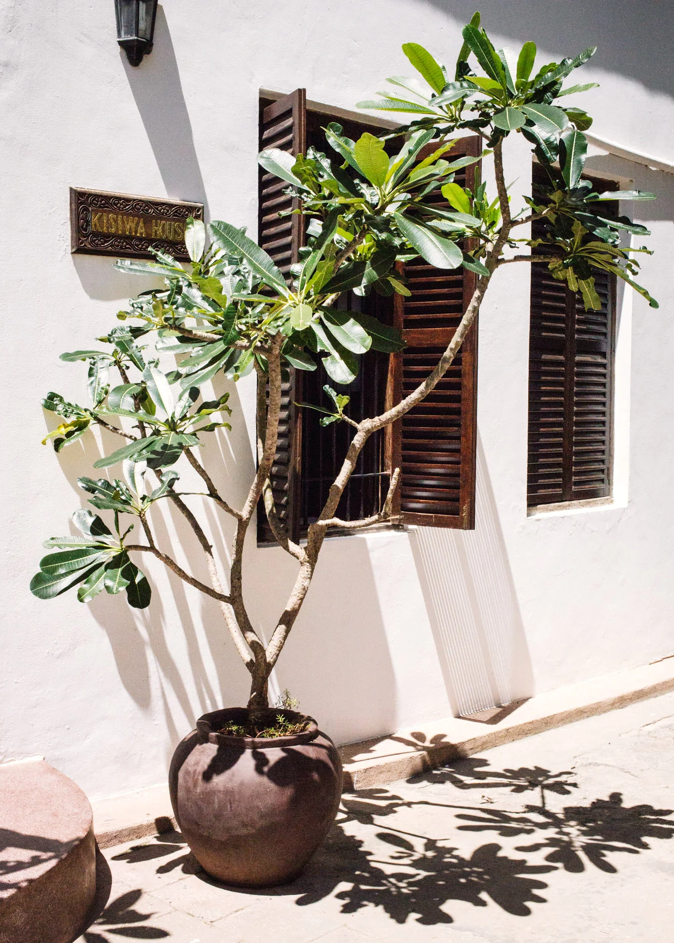 160311_Tanzania_986.jpg