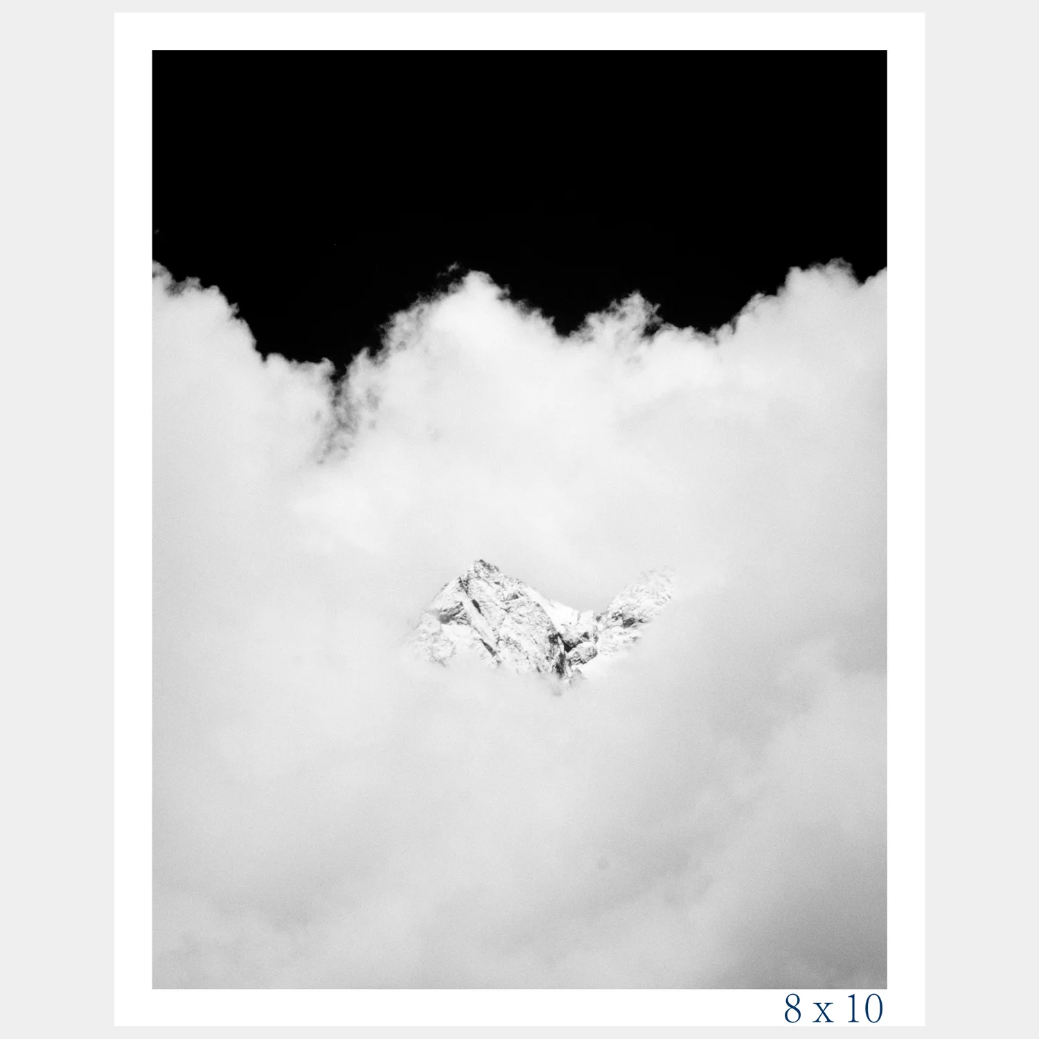 Blue-Himalaya_8x10.jpg