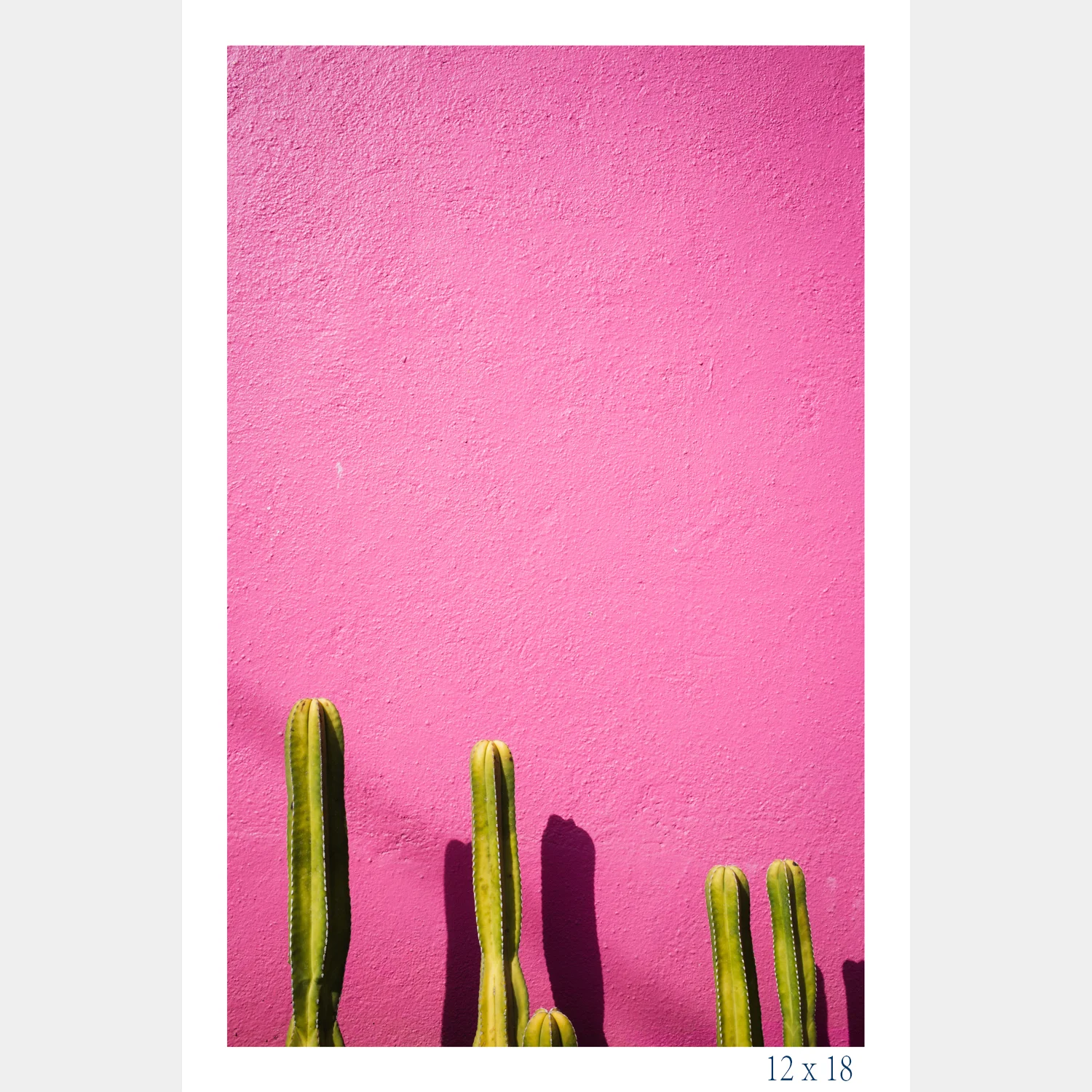 Hot-Pink-Cactus_12x18.jpg