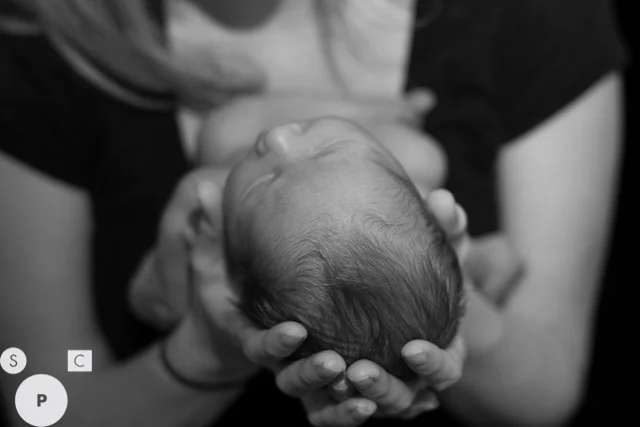 Atlanta Newborn Photography